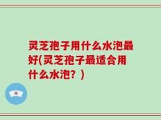 灵芝孢子用什么水泡最好(灵芝孢子最适合用什么水泡？)