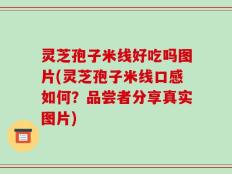 灵芝孢子米线好吃吗图片(灵芝孢子米线口感如何？品尝者分享真实图片)