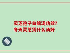 灵芝孢子白鸽汤功效？冬天灵芝煲什么汤好