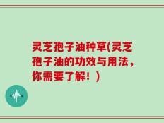 灵芝孢子油种草(灵芝孢子油的功效与用法，你需要了解！)
