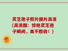 灵芝孢子照片图片高清(高清图：惊艳灵芝孢子瞬间，美不胜收！)
