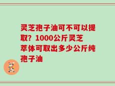 灵芝孢子油可不可以提取？1000公斤灵芝萃体可取出多少公斤纯孢子油
