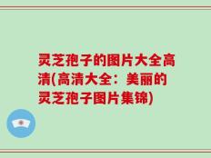 灵芝孢子的图片大全高清(高清大全：美丽的灵芝孢子图片集锦)