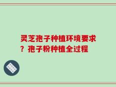 灵芝孢子种植环境要求？孢子粉种植全过程