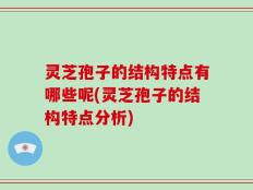 灵芝孢子的结构特点有哪些呢(灵芝孢子的结构特点分析)