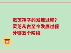 灵芝孢子的发现过程？灵芝从古至今发展过程分哪五个阶段