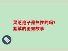 灵芝孢子是热性的吗？紫菜的由来故事