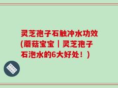 灵芝孢子石触冲水功效(蘑菇宝宝｜灵芝孢子石泡水的6大好处！)