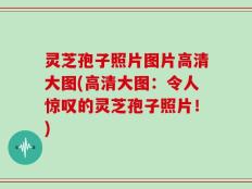 灵芝孢子照片图片高清大图(高清大图：令人惊叹的灵芝孢子照片！)