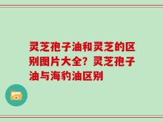 灵芝孢子油和灵芝的区别图片大全？灵芝孢子油与海豹油区别