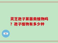 灵芝孢子算菌类植物吗？孢子植物有多少种