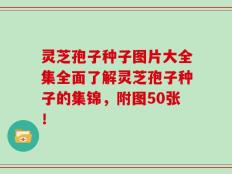 灵芝孢子种子图片大全集全面了解灵芝孢子种子的集锦，附图50张！