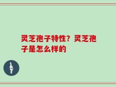 灵芝孢子特性？灵芝孢子是怎么样的
