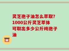 灵芝孢子油怎么萃取？1000公斤灵芝萃体可取出多少公斤纯孢子油
