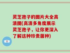 灵芝孢子的图片大全高清图(高清多角度展示灵芝孢子，让你更深入了解这种珍贵菌种)