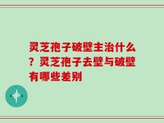 灵芝孢子破壁主治什么？灵芝孢子去壁与破壁有哪些差别
