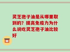 灵芝孢子油是从哪里取到的？提高免疫力为什么说吃灵芝孢子油比较好