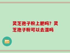 灵芝孢子粉上肥吗？灵芝孢子粉可以去湿吗