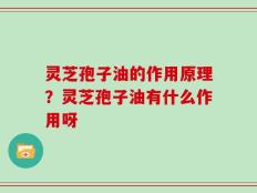 灵芝孢子油的作用原理？灵芝孢子油有什么作用呀