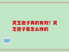 灵芝孢子真的有效？灵芝孢子是怎么样的