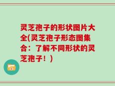 灵芝孢子的形状图片大全(灵芝孢子形态图集合：了解不同形状的灵芝孢子！)