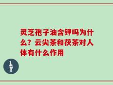 灵芝孢子油含钾吗为什么？云尖茶和茯茶对人体有什么作用