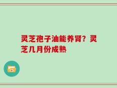 灵芝孢子油能养肾？灵芝几月份成熟