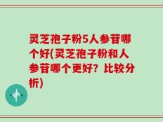 灵芝孢子粉5人参苷哪个好(灵芝孢子粉和人参苷哪个更好？比较分析)