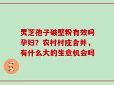 灵芝孢子破壁粉有效吗孕妇？农村村庄合并，有什么大的生意机会吗