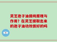 灵芝孢子油提纯原理与作用？在灵芝提取出来的孢子油功效很好的吗