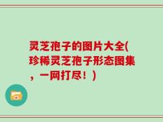 灵芝孢子的图片大全(珍稀灵芝孢子形态图集，一网打尽！)