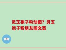 灵芝孢子粉动图？灵芝孢子粉朋友圈文案