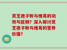 灵芝孢子粉与槐耳的功效与区别？深入探讨灵芝孢子粉与槐耳的营养价值？