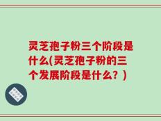 灵芝孢子粉三个阶段是什么(灵芝孢子粉的三个发展阶段是什么？)