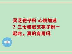 灵芝孢子粉 心跳加速？三七和灵芝孢子粉一起吃，真的有用吗