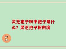 灵芝孢子粉中孢子是什么？灵芝孢子粉密度