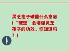 灵芝孢子破壁什么意思(“破壁”会增强灵芝孢子的功效，你知道吗？)