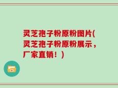 灵芝孢子粉原粉图片(灵芝孢子粉原粉展示，厂家直销！)