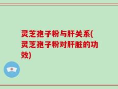 灵芝孢子粉与肝关系(灵芝孢子粉对肝脏的功效)