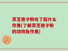 灵芝孢子粉吃了起什么作用(了解灵芝孢子粉的功效及作用)