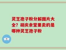 灵芝孢子粉分解图片大全？胡庆余堂里卖的是哪种灵芝孢子粉