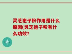 灵芝孢子粉作用是什么原因(灵芝孢子粉有什么功效？