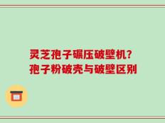 灵芝孢子碾压破壁机？孢子粉破壳与破壁区别