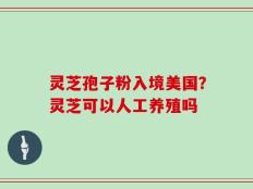 灵芝孢子粉入境美国？灵芝可以人工养殖吗