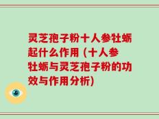 灵芝孢子粉十人参牡蛎起什么作用 (十人参牡蛎与灵芝孢子粉的功效与作用分析)
