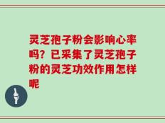 灵芝孢子粉会影响心率吗？已采集了灵芝孢子粉的灵芝功效作用怎样呢