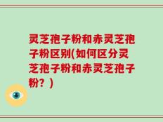 灵芝孢子粉和赤灵芝孢子粉区别(如何区分灵芝孢子粉和赤灵芝孢子粉？)