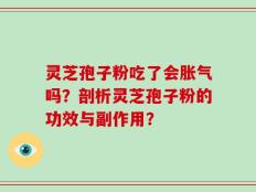 灵芝孢子粉吃了会胀气吗？剖析灵芝孢子粉的功效与副作用？