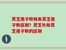 灵芝孢子粉和赤灵芝孢子粉区别？灵芝片和灵芝孢子粉的区别