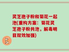 灵芝孢子粉和菊花一起泡(重构方案：菊花灵芝孢子粉共泡，解毒明目双效加强)